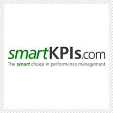   STRATEGIC PARTNER